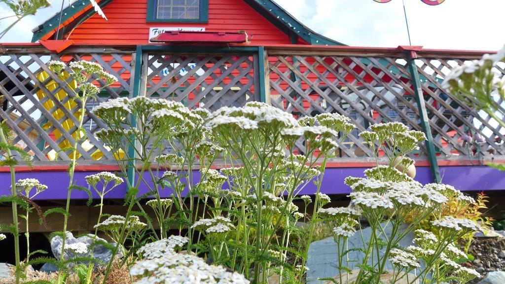 Mountain Thyme Getaway Hotel Barkerville ภายนอก รูปภาพ